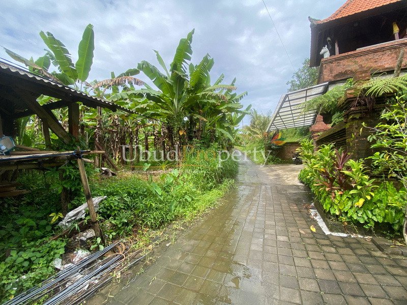 Ubud Property Land For Sale in Ubud Bali