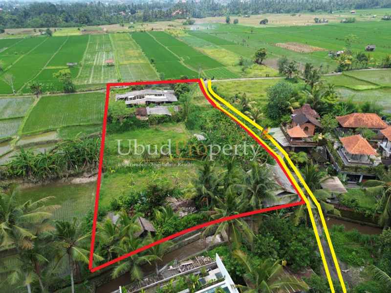 Ubud Property Land For Sale in Ubud Bali