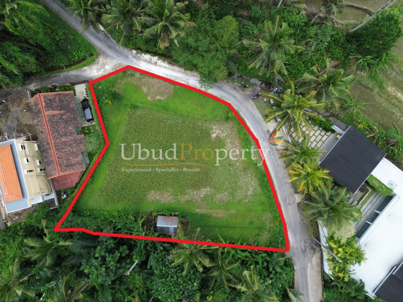 Land For Sale Freehold in Ubud Bali