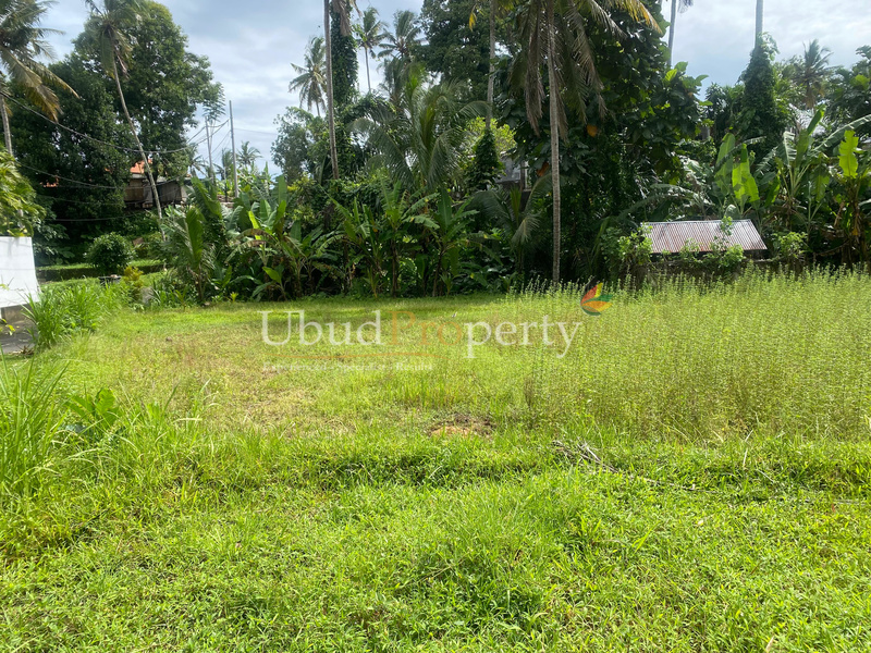 Ubud Property Land For Sale in Ubud Bali