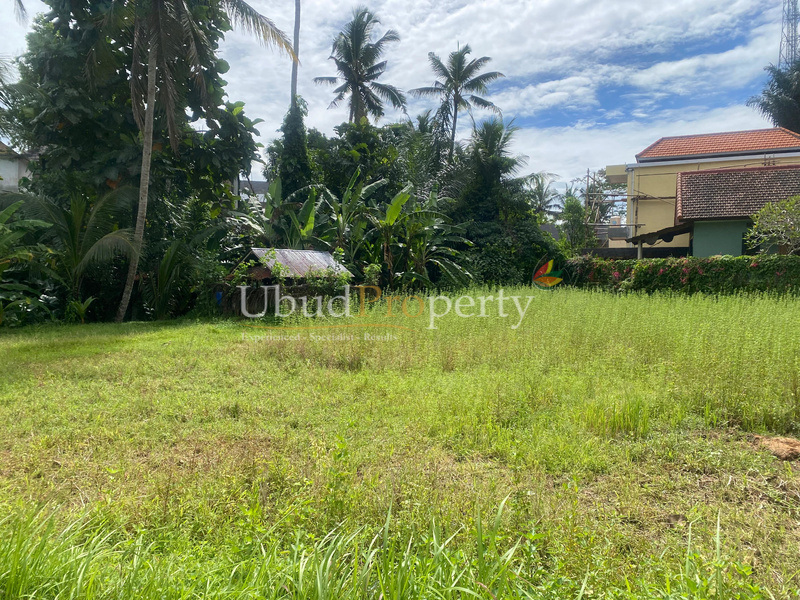 Ubud Property Land For Sale in Ubud Bali