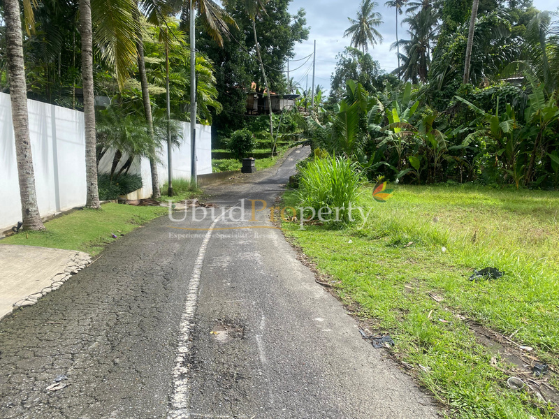 Ubud Property Land For Sale in Ubud Bali