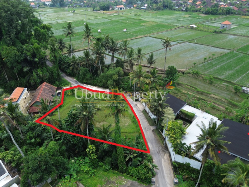 Ubud Property Land For Sale in Ubud Bali
