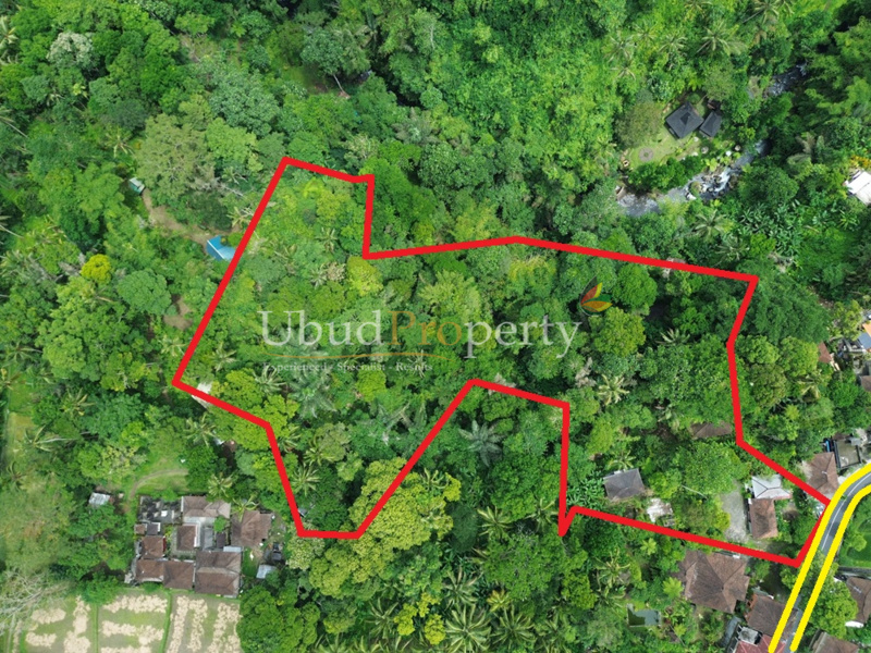 Land For Sale Leasehold in Ubud Bali