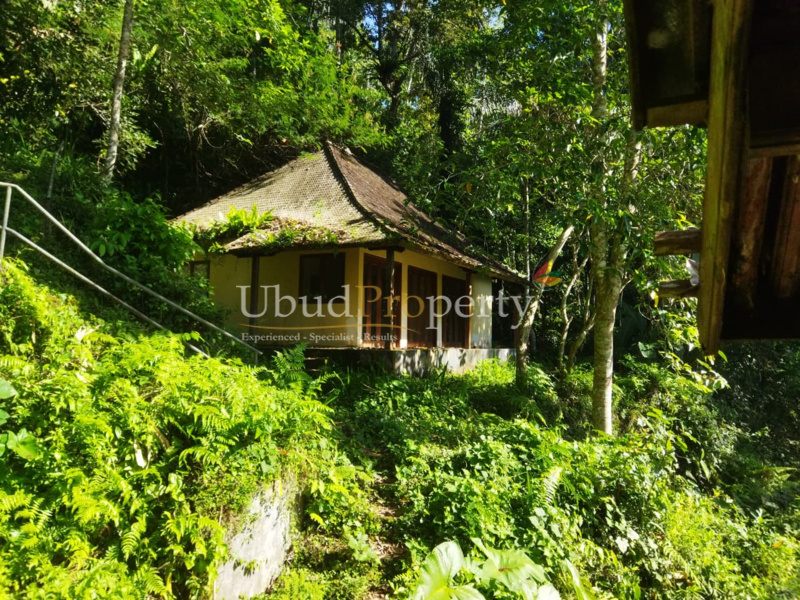 Ubud Property Land For Sale in Ubud Bali