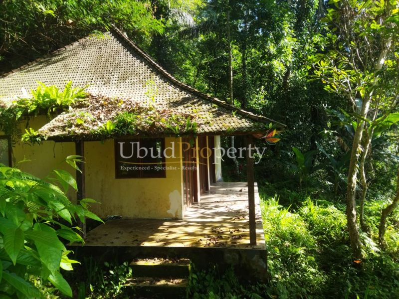 Ubud Property Land For Sale in Ubud Bali