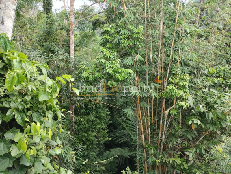 Ubud Property Land For Sale in Ubud Bali