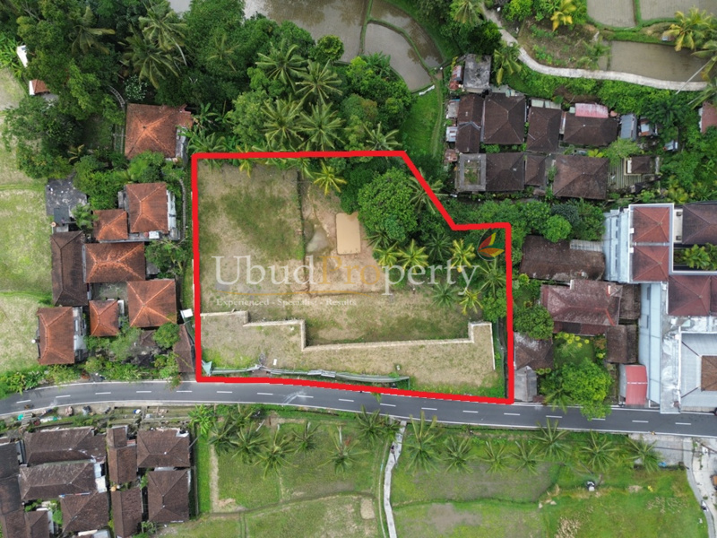 Land For Sale Leasehold in Ubud Bali