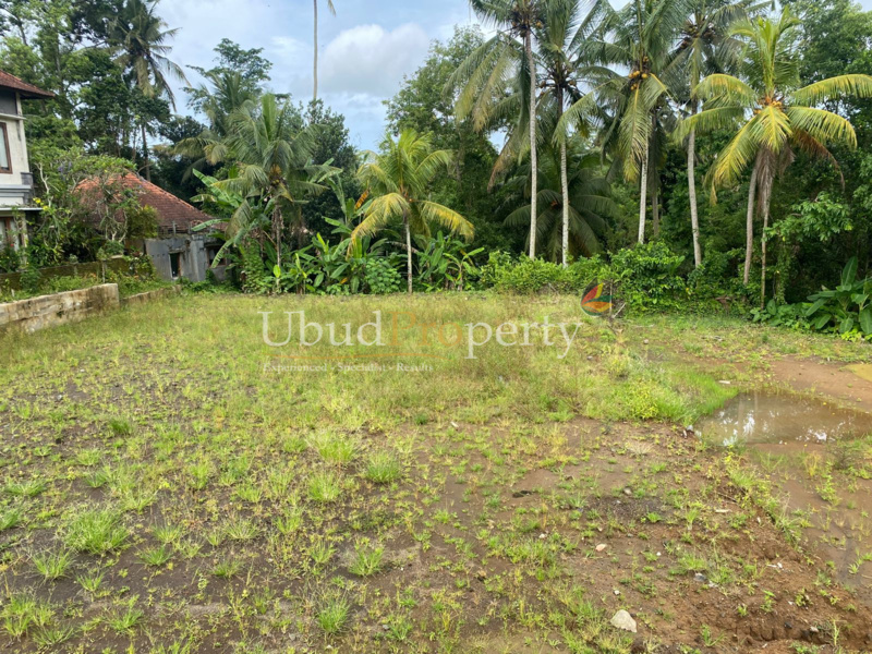 Ubud Property Land For Sale in Ubud Bali