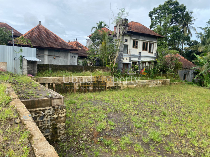 Ubud Property Land For Sale in Ubud Bali