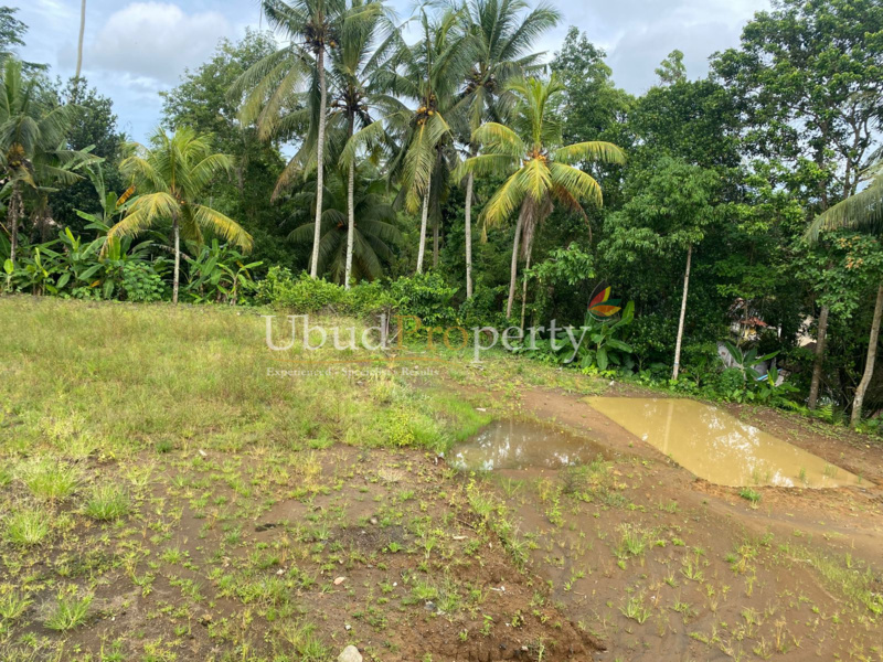 Ubud Property Land For Sale in Ubud Bali