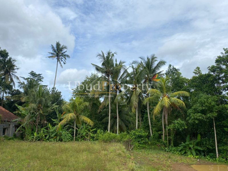 Ubud Property Land For Sale in Ubud Bali