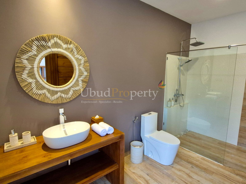 Ubud Property Villa For Sale in Ubud Bali