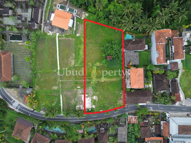Land For Sale Leasehold in Ubud Bali