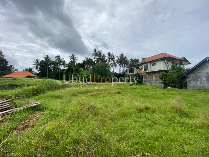 Ubud Property Land For Sale in Ubud Bali