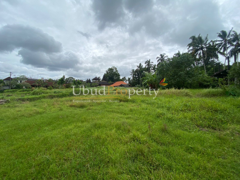 Ubud Property Land For Sale in Ubud Bali