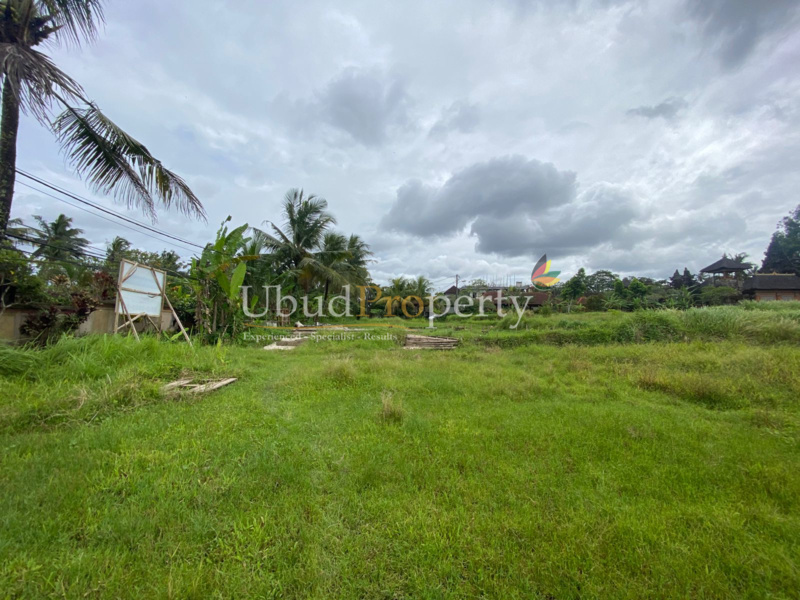 Ubud Property Land For Sale in Ubud Bali