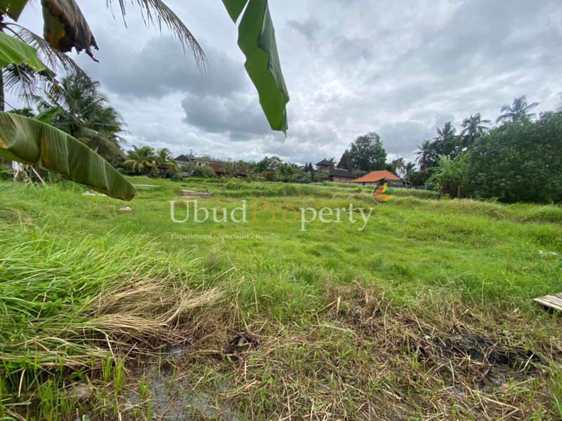 Ubud Property Land For Sale in Ubud Bali