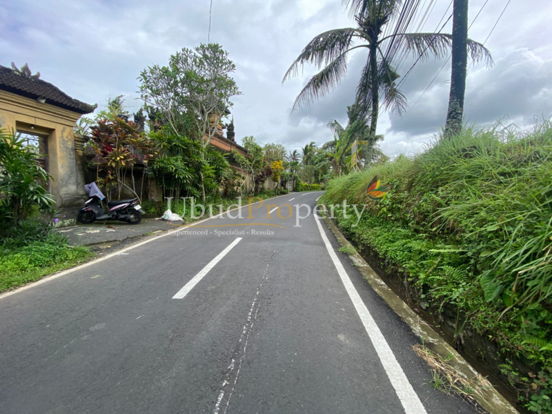 Ubud Property Land For Sale in Ubud Bali