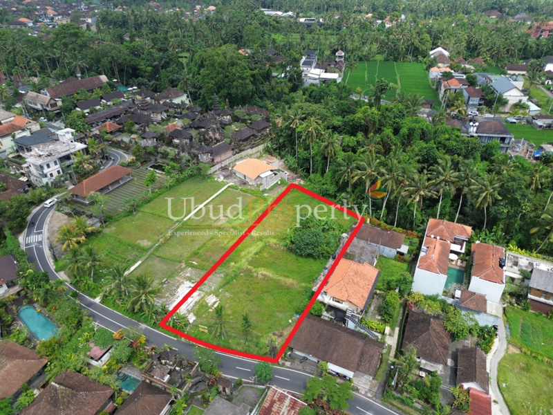 Ubud Property Land For Sale in Ubud Bali