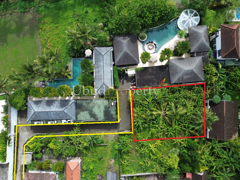Land For Sale Freehold in Ubud Bali