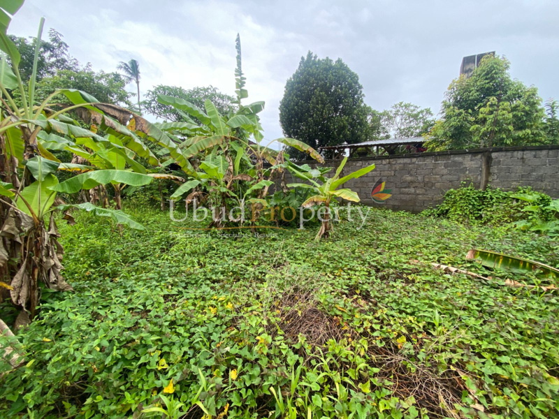 Ubud Property Land For Sale in Ubud Bali