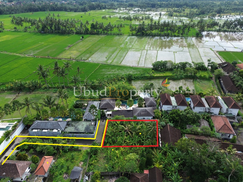 Ubud Property Land For Sale in Ubud Bali