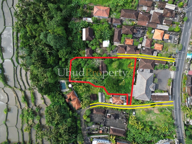Land For Sale Leasehold in Ubud Bali