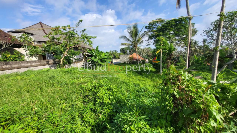 Ubud Property Land For Sale in Ubud Bali