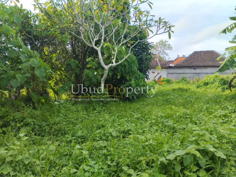 Ubud Property Land For Sale in Ubud Bali