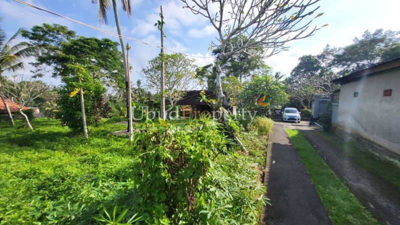 Ubud Property Land For Sale in Ubud Bali