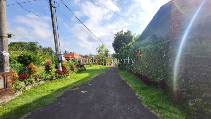 Ubud Property Land For Sale in Ubud Bali