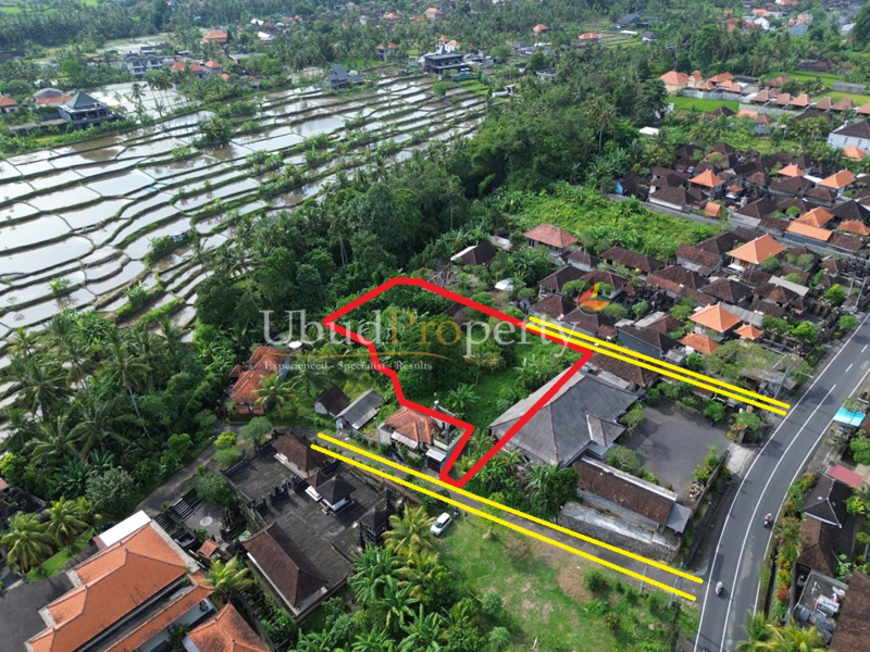 Ubud Property Land For Sale in Ubud Bali