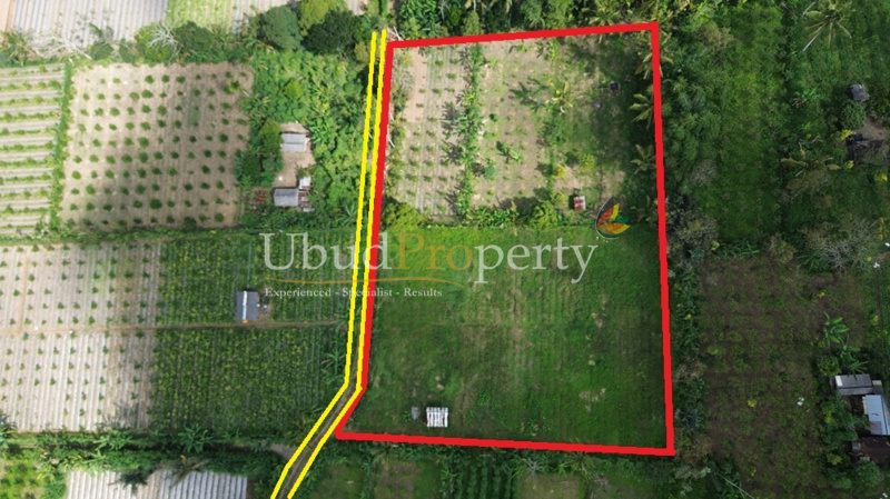 Land For Sale Freehold in Ubud Bali