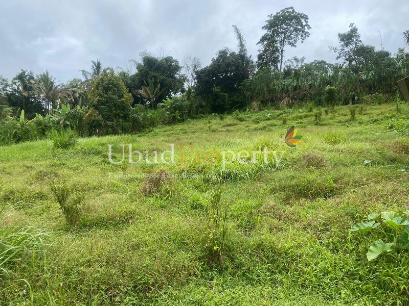 Ubud Property Land For Sale in Ubud Bali
