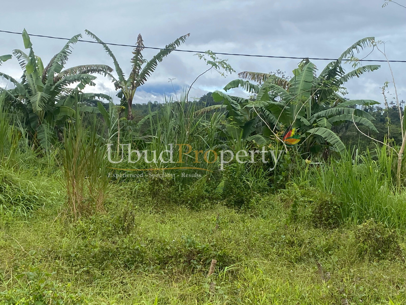 Ubud Property Land For Sale in Ubud Bali