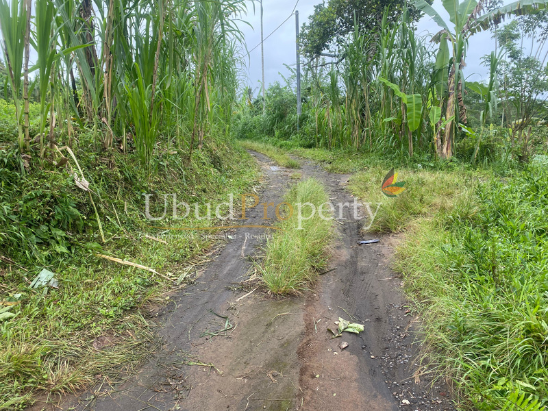 Ubud Property Land For Sale in Ubud Bali