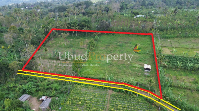 Ubud Property Land For Sale in Ubud Bali