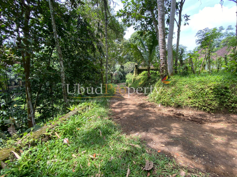 Land For Sale Freehold in Ubud Bali