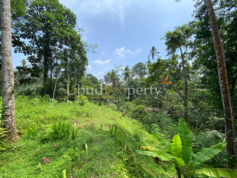 Ubud Property Land For Sale in Ubud Bali