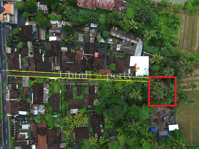 Land For Sale Leasehold in Ubud Bali