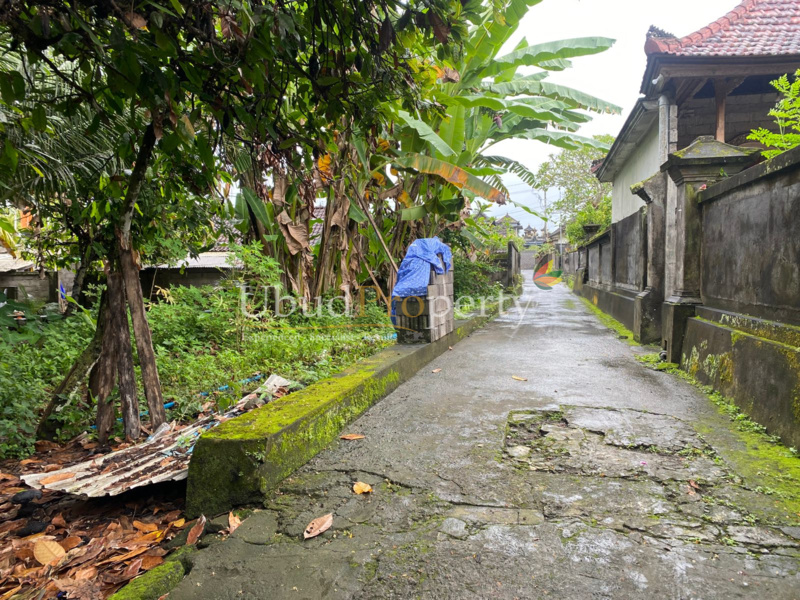 Ubud Property Land For Sale in Ubud Bali