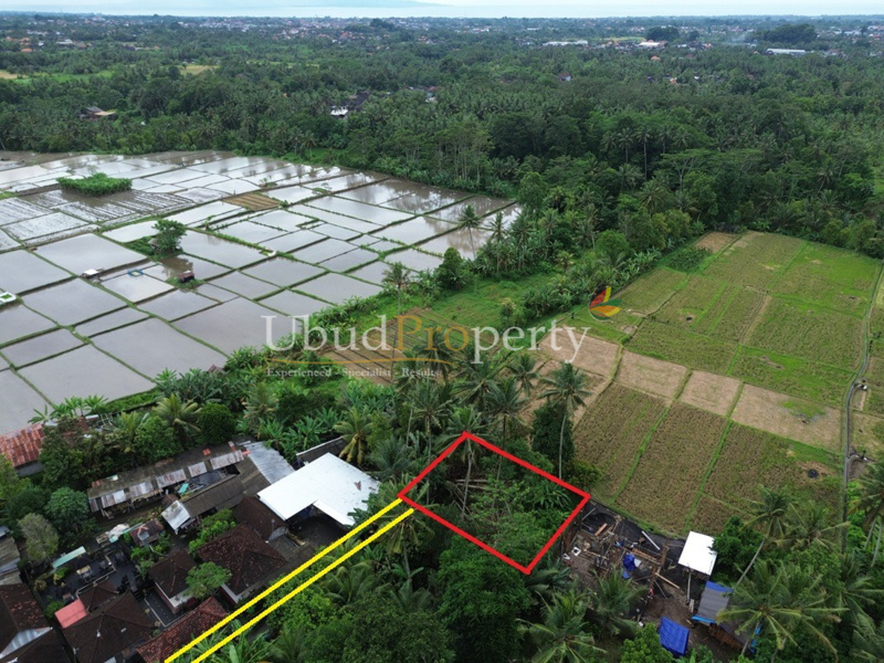 Ubud Property Land For Sale in Ubud Bali