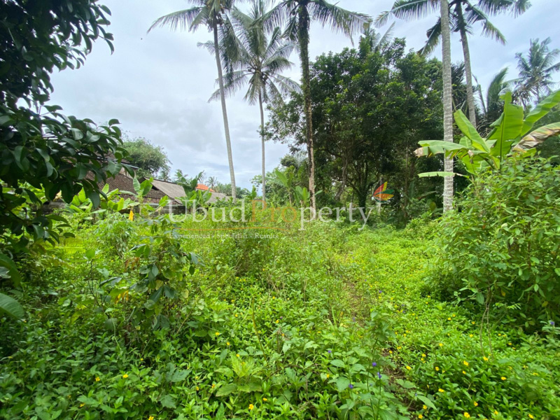 Ubud Property Land For Sale in Ubud Bali