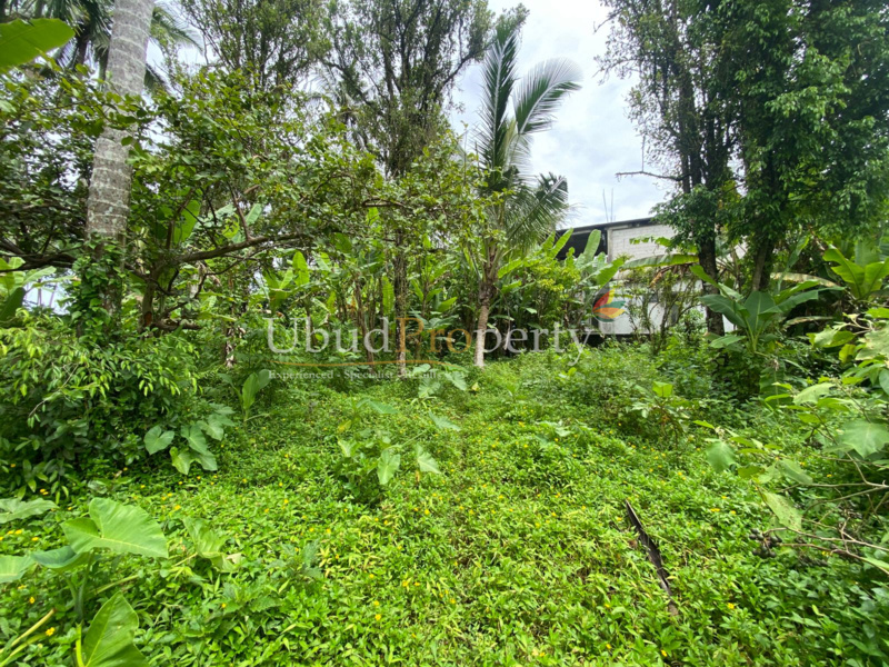 Ubud Property Land For Sale in Ubud Bali
