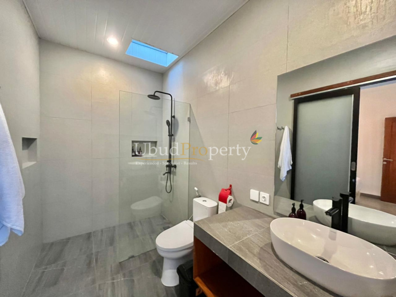 Ubud Property Villa For Sale in Ubud Bali