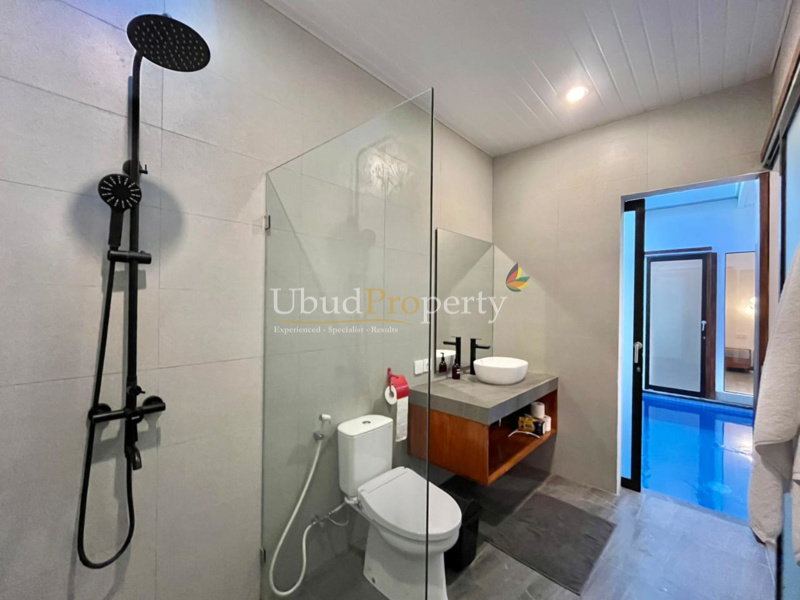 Ubud Property Villa For Sale in Ubud Bali