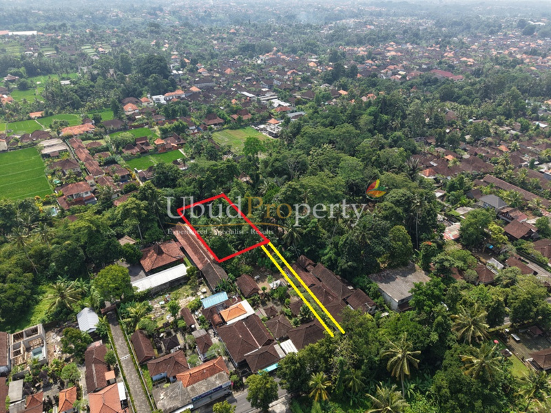 Land For Sale Leasehold in Ubud Bali