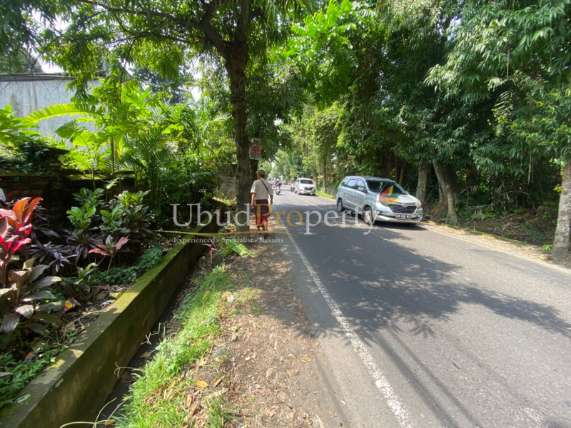 Ubud Property Land For Sale in Ubud Bali