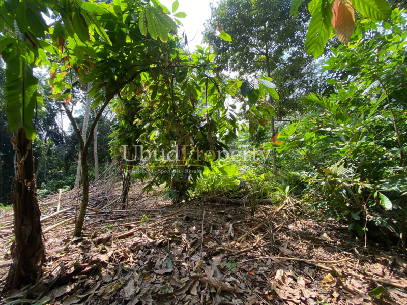 Ubud Property Land For Sale in Ubud Bali